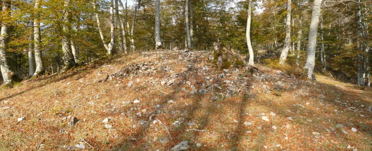 Txagadiko trikuharria, Saldisgain eta Debata arteko lepoan