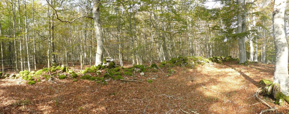 Saldisgaingo gailurra