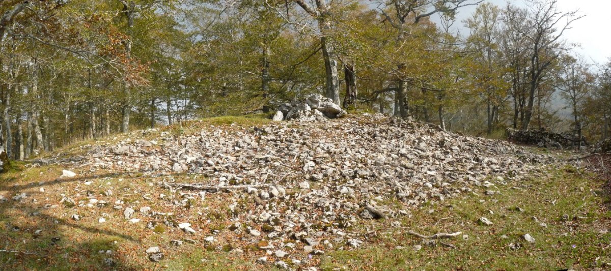 Debatako gailurreko trikuharri handia