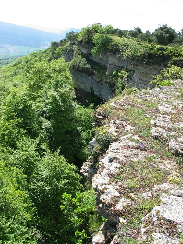 Gandorra tontorretik