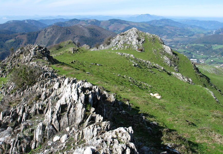 Leitza aldeko gandorra