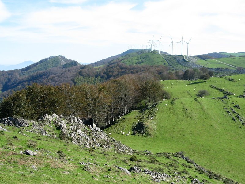 Gain aldeko larreak M.tik