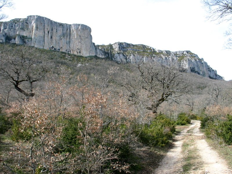 Aramendia aldeko bidea