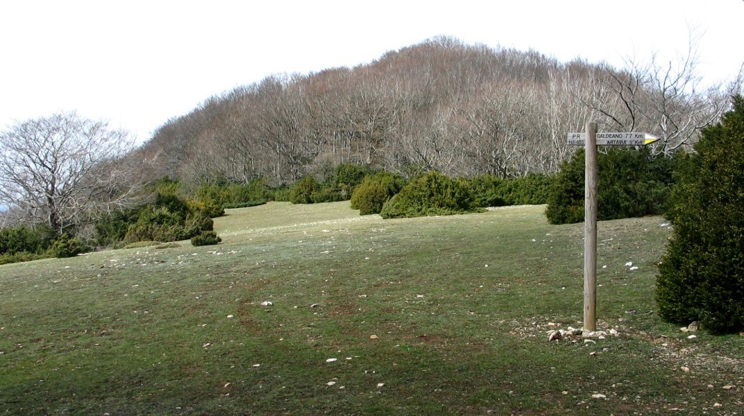 Galdeanoko lepotik tontor aldera begira