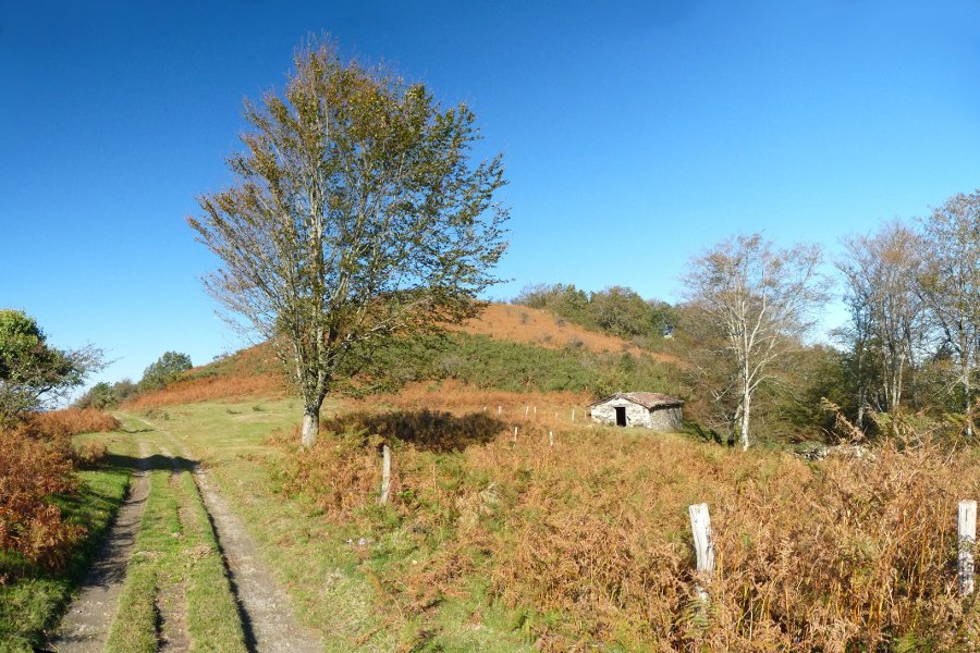 Gaztarotz borda eta kaskoa