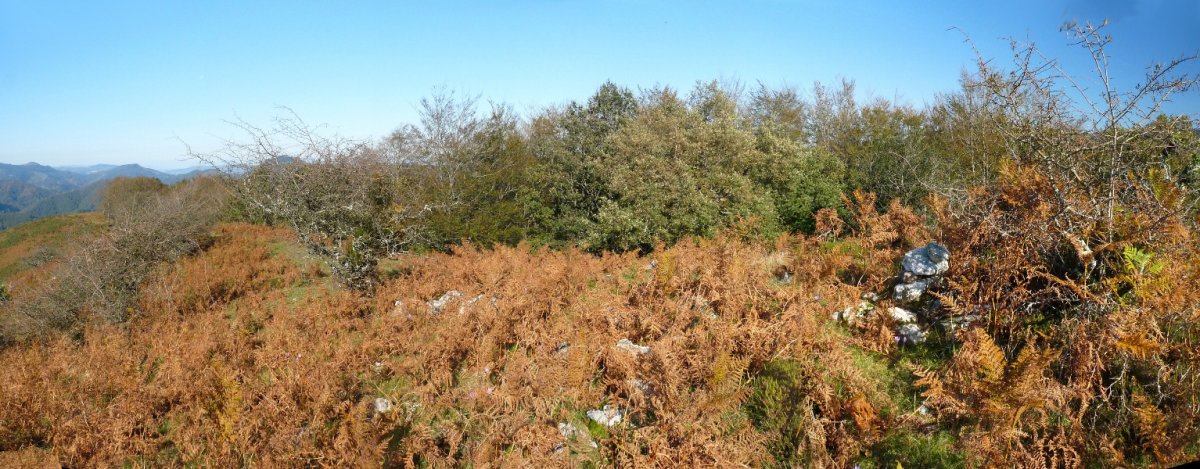 Gaztarotzeko gailurra