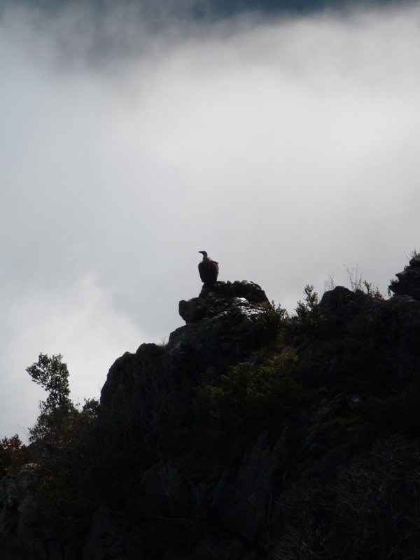 Putrea Lakorriko malkarretan