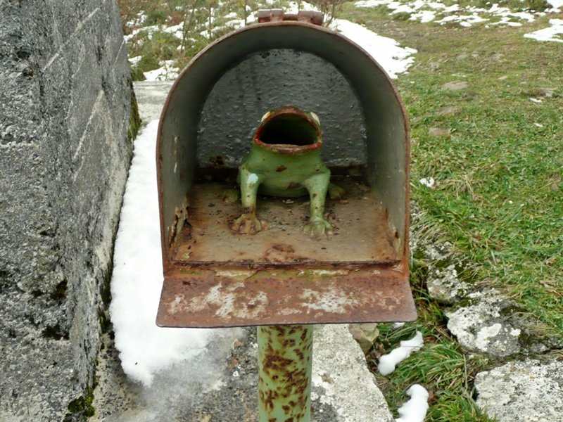 Buzoiaren Barrualdea