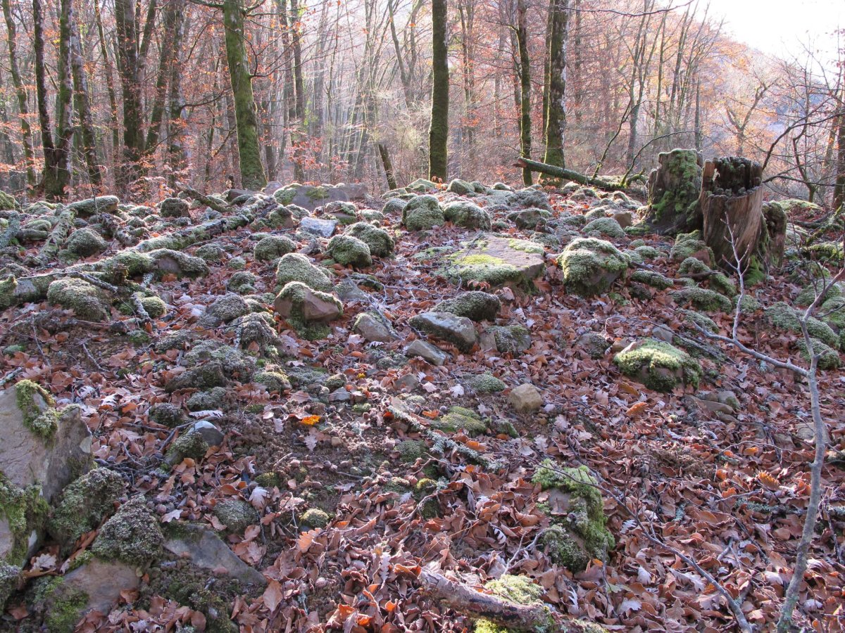 AIANTSORO 3 mendebal