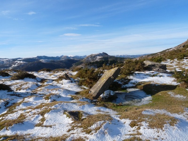 Airagarriko lepoko zutarria