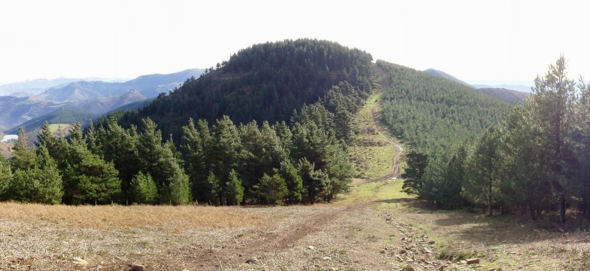 Picomayor Ipar-mendebaldetik ikusita