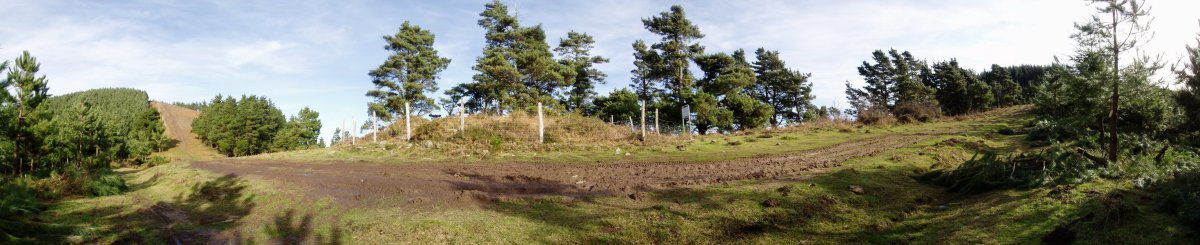 Eskatxabel trikuharria