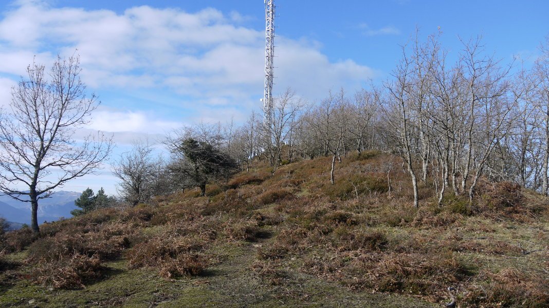 Tontorra Ekialdeko bizkarretik