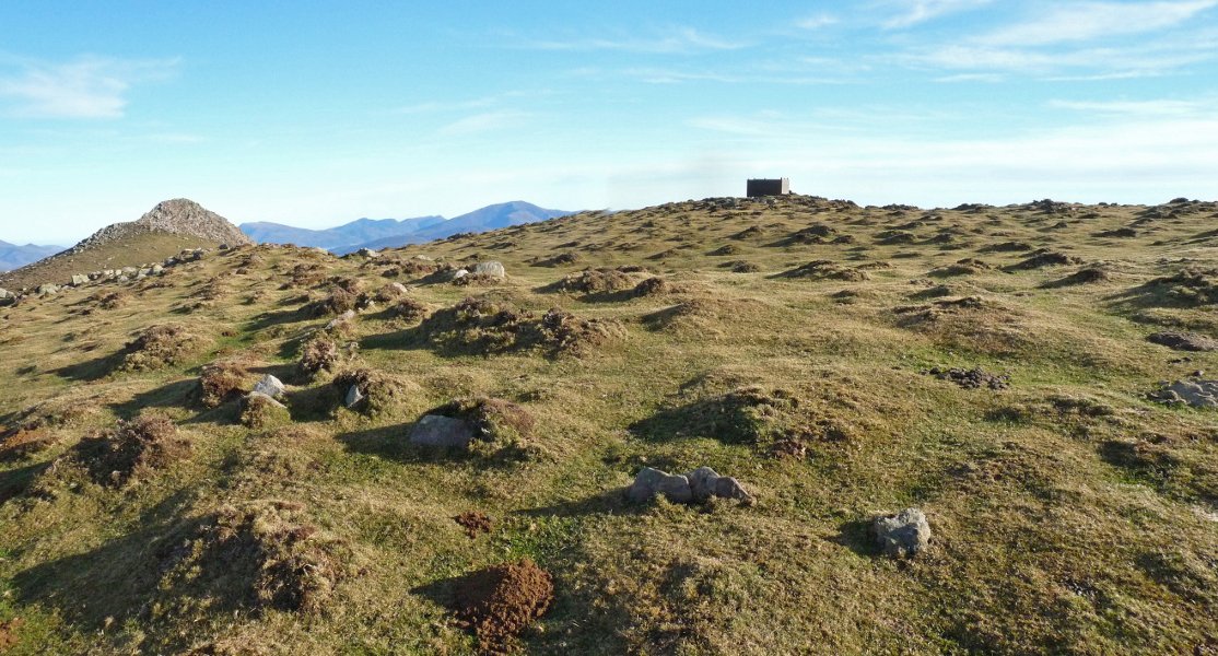 Katillegiko lepoa hego