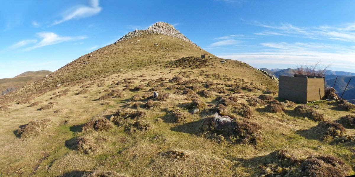 Katillegiko lepoko trikuharria