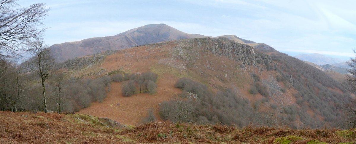 Argañeta eta Auza Urrixkatik