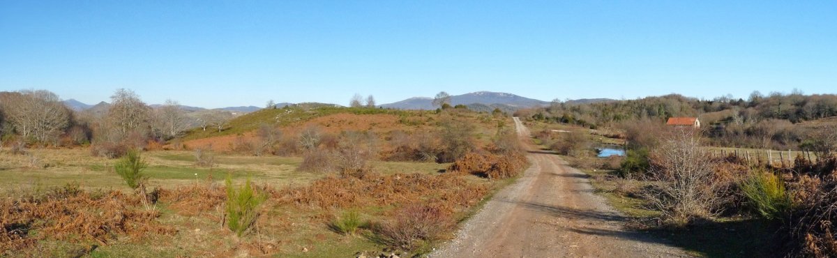 Iturta/Iturrietako zonaldea