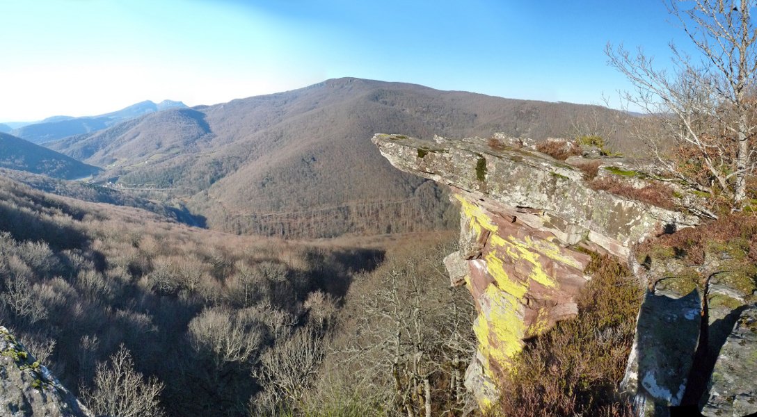 Zamariaingo behatoki zirraragarria