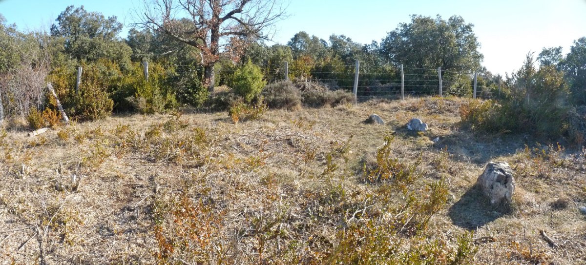 Induriaga 1 harrespila eta atzean, tumulua