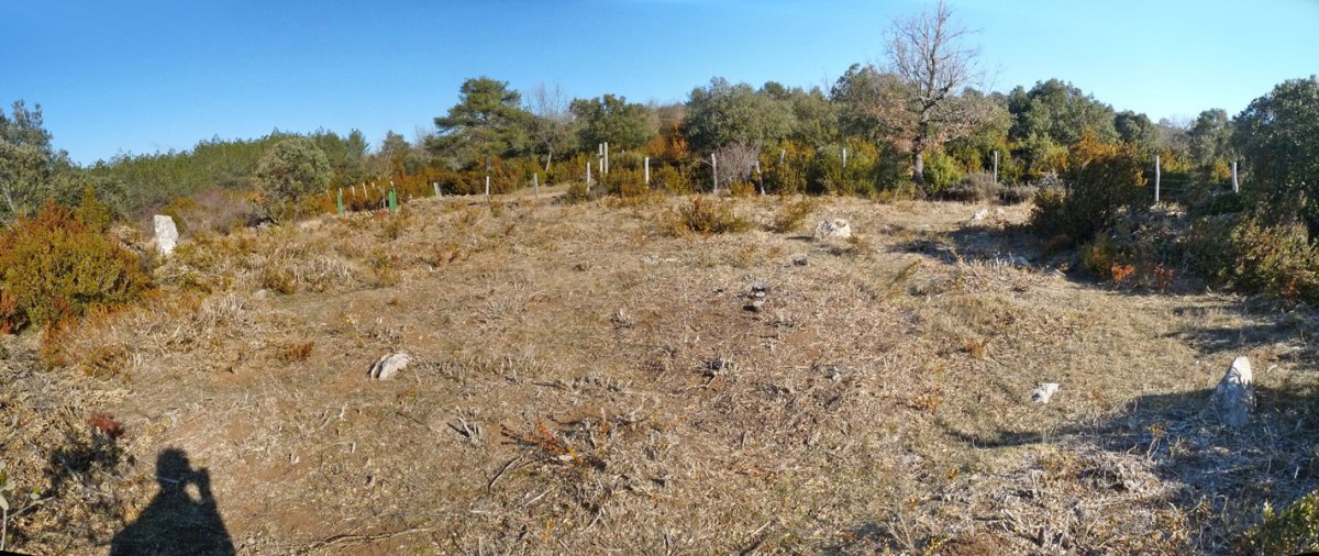 Induriaga 1 eta 2 harrespilak eta zutarria