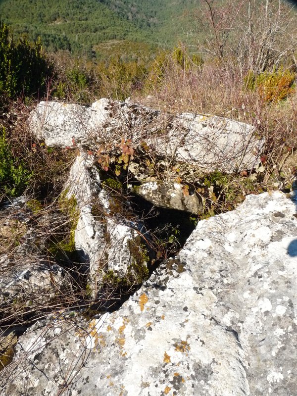 Ezkiregi / Moruen koba