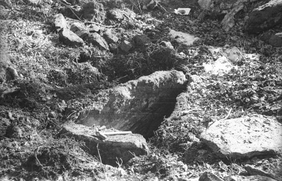 Jesus Elosegiren argazkia