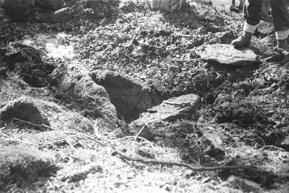 Jesus Elosegiren argazkia