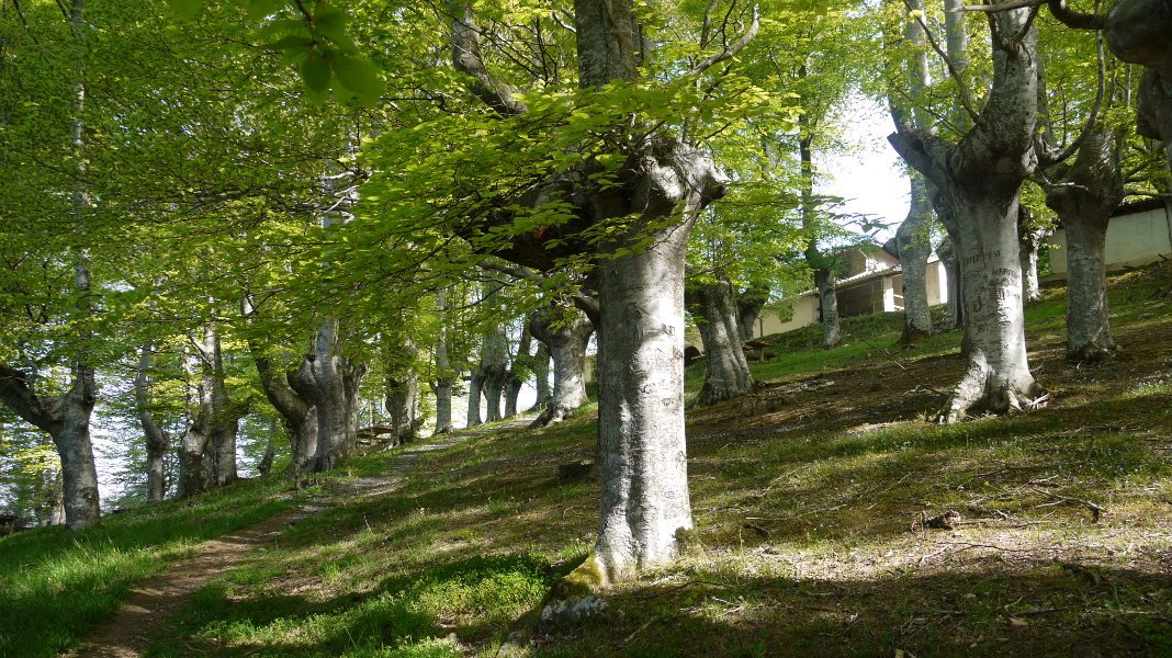 Igoerako bidea Hegoaldetik