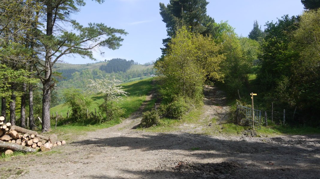 Ermitaren aurreko bidegurutzea