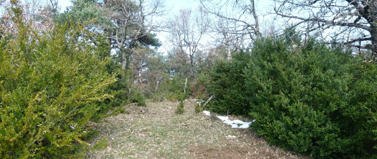 Etarte edo Asketa mendiko gailurra