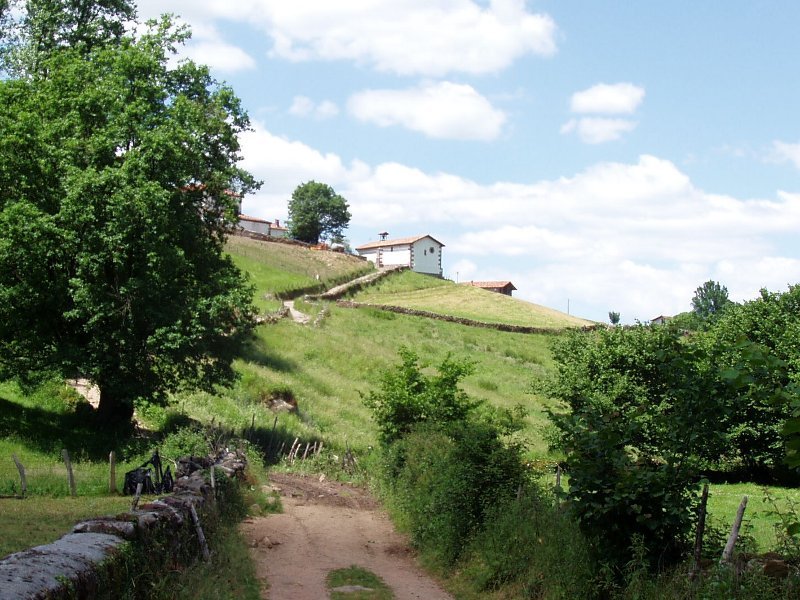 Nahigabeetako Amabirjina