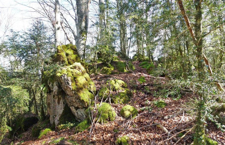 Bordagaineko mendebaldeko gailurra