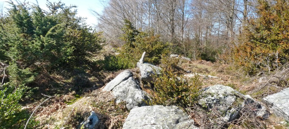 Larreburuko hegoaldeko gailurra