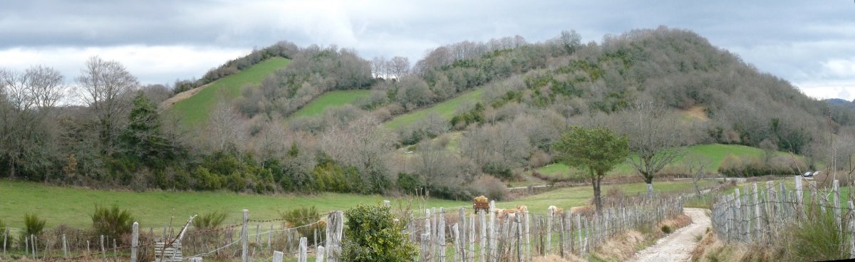 Bultzarregiko gailur bikoitza