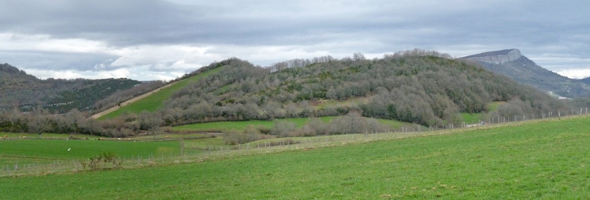 Bultzarregiko gailur bikoitza