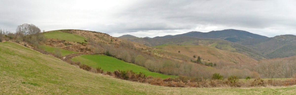 Okelameingo bizkar borobila