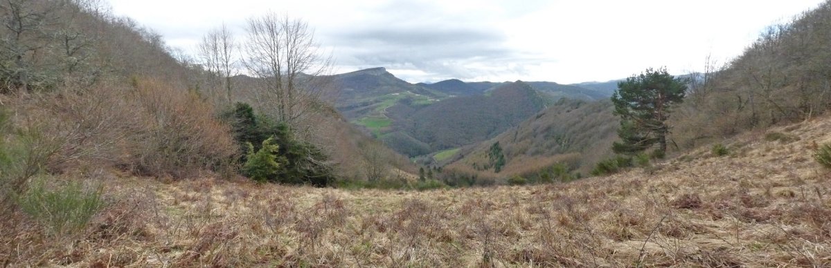 Bultzarregiko gailurren arteko lepoa
