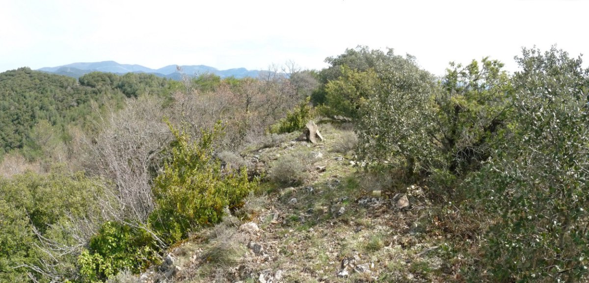 Harri pila eta tako geodesikoa Txurrikoko gailurrean