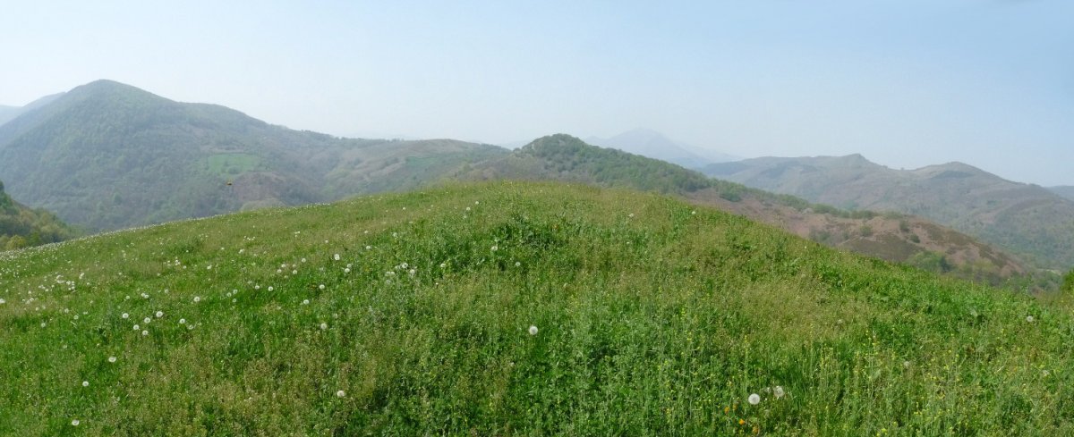 Gurutzaldeko gailurra