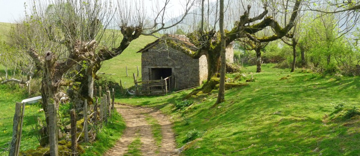 Borda bat Pagamendin