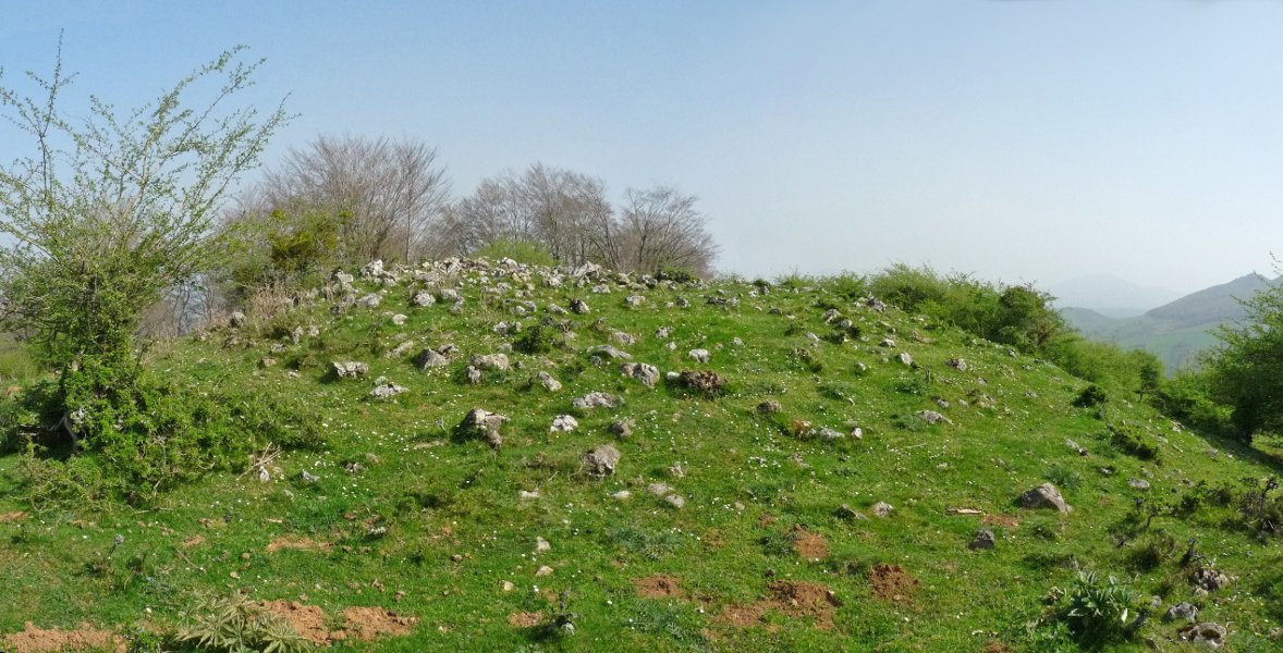 Apurtxiko trikuharria