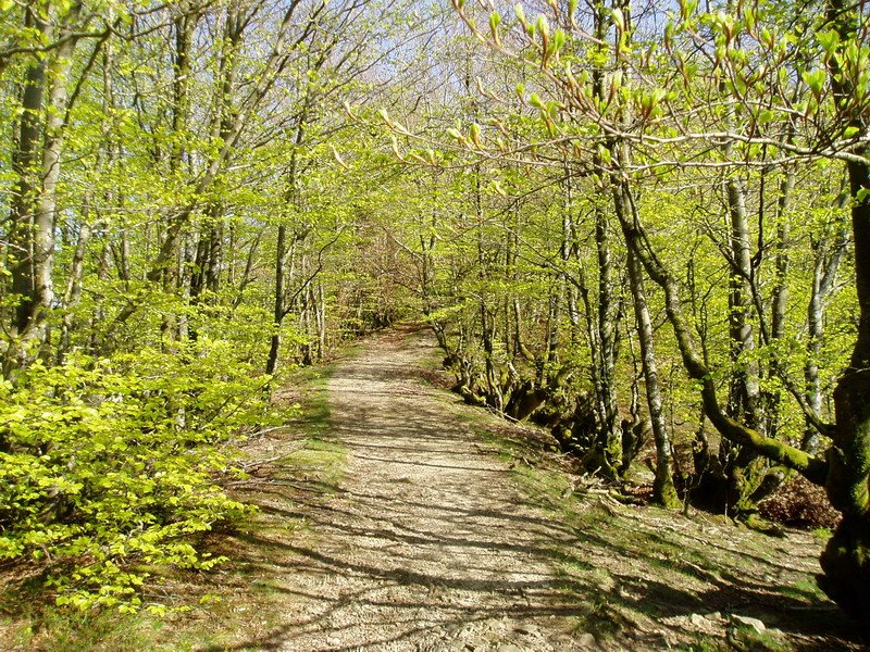 Ipar-mendebaldeko bizkarreko bidea, udaberrian