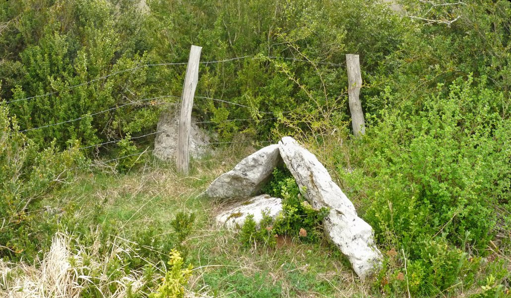 Portillo de Ollate 2