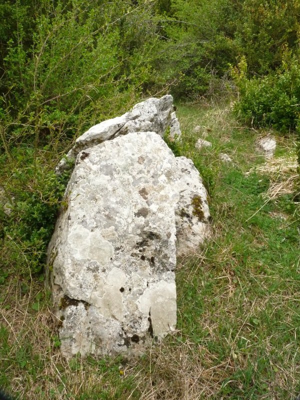 Portillo de Ollate 2