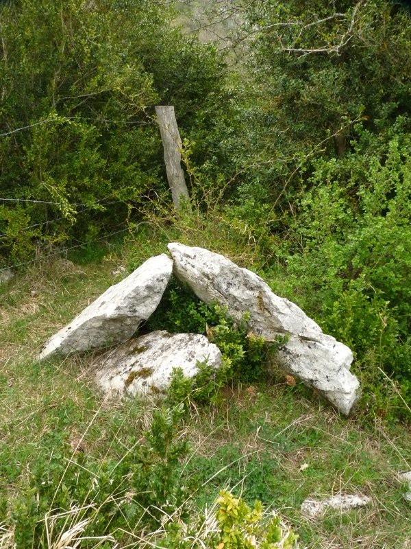 Portillo de Ollate 2