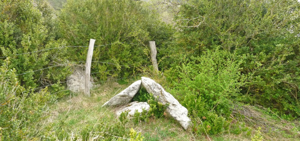 Portillo de Ollate 2