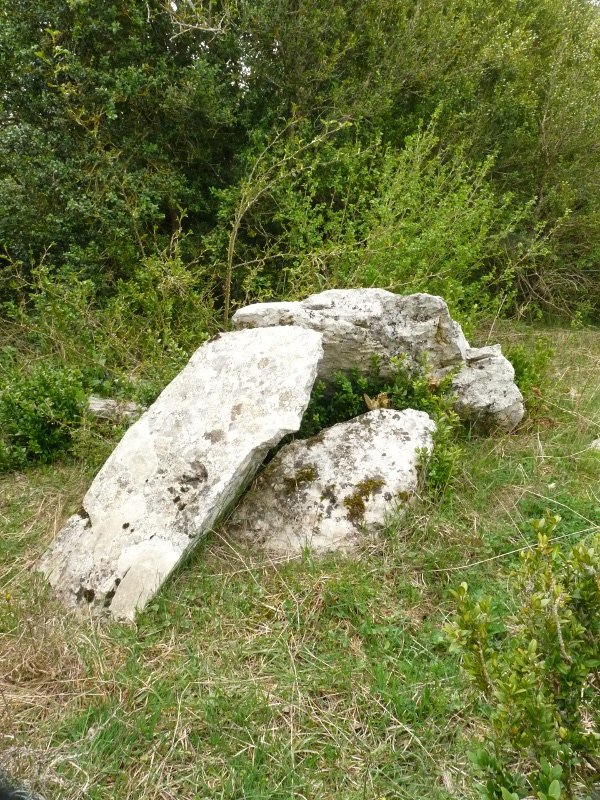 Portillo de Ollate 2