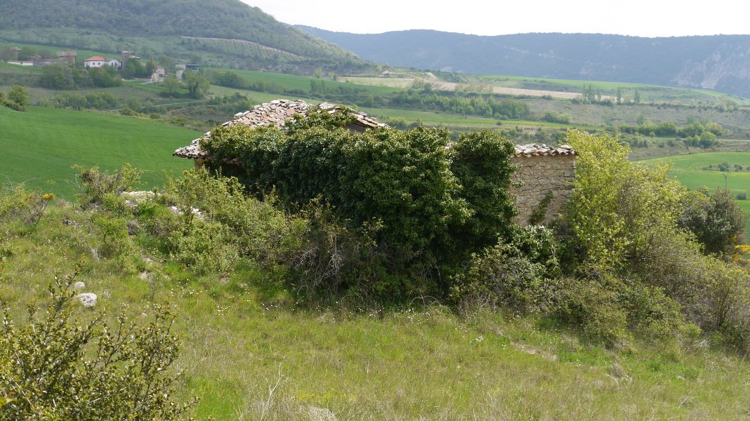 San Saturnino ermita Narkue aldean