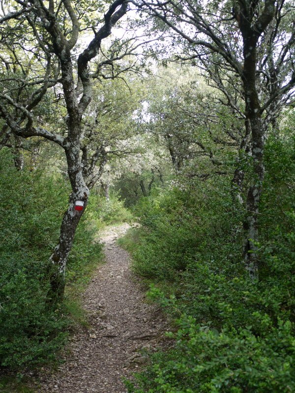 Ermitarako bidea, Etxauriko mendatetik