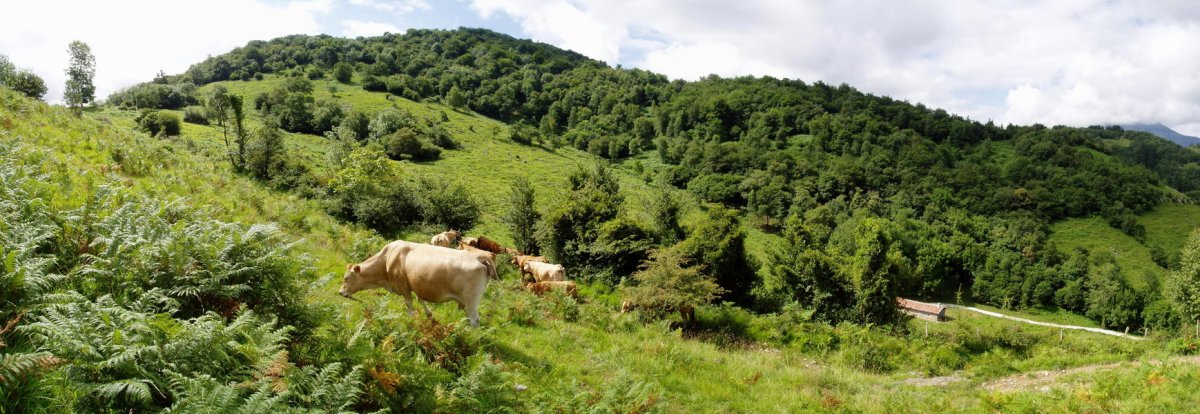 Iparraldeko isurialdea